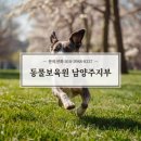 동물보육원 용인지부 이미지