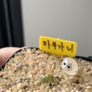 마옥농장 이미지