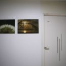 산방 보누스 이미지