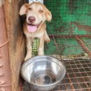 현씨농장 이미지