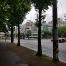 대청고등학교 정문 이미지