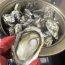 한잔만 더 | 양평 석화찜 원탑 '딱 한잔만 더' 겨울철 별미, 석화 먹으러 재방문한 곳!!