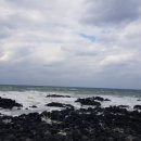 추동세탁소 이미지