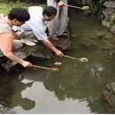 곡수 Daum카페
