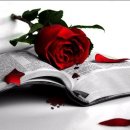 다르게 천천히 이미지