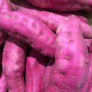 사곡초등 병설 이미지