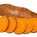 얌(YAM) 네이버블로그