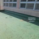 온여고길21번길 네이버블로그