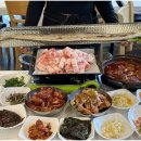 금바우 이미지
