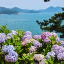 통영관광안내소 이미지