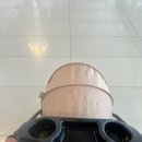 도도펫 | [제주항공 애견동반 항공 탑승 후기] 반려견과 함께 비행기타고 제주도 가기! (김포공항 펫파크 이용법 등)