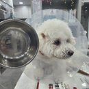 리브동물의료센터 이미지