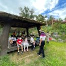 숲또래 협동조합 이미지