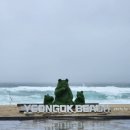 연곡약국 이미지