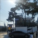 월랑쭈꾸미아산 이미지