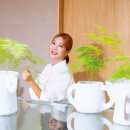 웰니스 스파 이미지