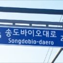 송도바이오대로 이미지