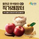 합천군청 2청사 이미지