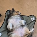 카페 포 너드 이미지