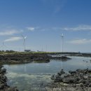 신창 그리고 제주 이미지