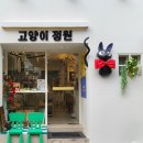 하얀강아지&고양이 | 부산 전포 굿즈 숍 고양이정원 가성비 반려견 수제간식 내돈내산 구입 후기