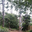 김해행정사 이미지