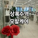청아약국 | 잦은 염색으로 손상된 머릿결, 상록수역 모발케어 후기