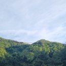 왕피천 숲속 캠핑장 | 경북 울진 애견동반 가능한 왕피천 숲속 계곡 있는 캠핑장