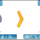 레드메이플 이미지