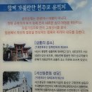 소양초교 앞 - 여우고개 | 해미 순교자 국제성지 (해미골) - 2025.5.19(일)