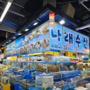금호동 제철1문 앞 | 가락시장 맛집 횟집 나래수산 추천! 여름 제철회 민어 농어 모듬회 포장 후기