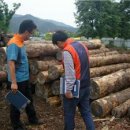 산림청 동부지방산림청 영월국유림관리소 이미지