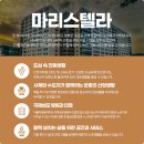 인천가톨릭학원마리스텔라 이미지