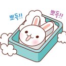 가람약품 이미지