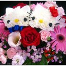 키티홀릭 이미지