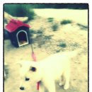 햇귀풍경 이미지