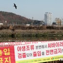 구수리 농장 뉴스1