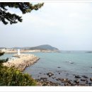 죽도공원 티스토리
