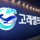 고래세차장 이미지