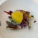 샤브향 옥포점 | 건강한 한끼 대구 샤브샤브 월남쌈 맛집 샤브향 대구 옥포점 재방문 후기