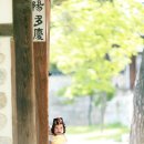 북서울꿈의숲(야외) 이미지