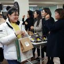 태백가정폭력상담소 이미지