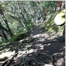 초밥천국 이미지