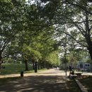 보이트 플러스 이미지