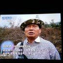 이*학 - 미추홀구 소성로318번길 10-23 | 이*학