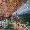 엘도라도 | [오송] 엘도라도 브런치 &amp; 베이커리카페 후기