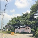 도그니엘 | 안성 원더풀도그베이 준비물 샤워장 주차 정보 내돈내산후기
