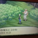 도쿄일상