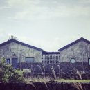 제주나랑하 이미지