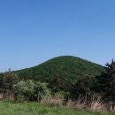 애월다래네 이미지